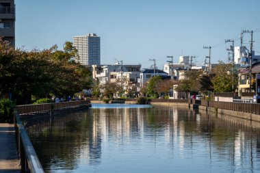 Tokyo sonbahar yaprakları peyzaj