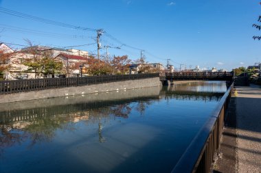 Tokyo sonbahar yaprakları peyzaj