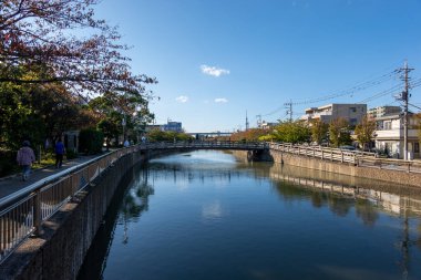 Tokyo sonbahar yaprakları peyzaj