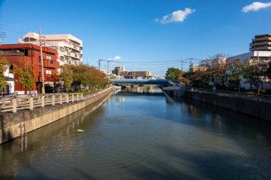 Tokyo sonbahar yaprakları peyzaj