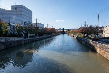 Tokyo sonbahar yaprakları peyzaj