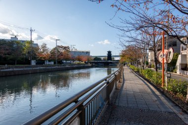 Tokyo sonbahar yaprakları peyzaj