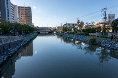 Tokyo sonbahar yaprakları peyzaj