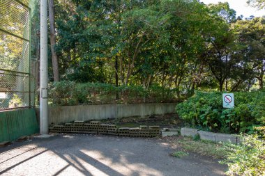 Tokyo sonbahar yaprakları peyzaj