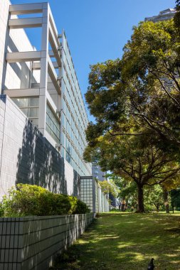 Tokyo sonbahar yaprakları peyzaj