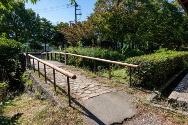 Tokyo sonbahar yaprakları peyzaj