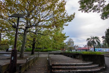 Tokyo sonbahar yaprakları peyzaj