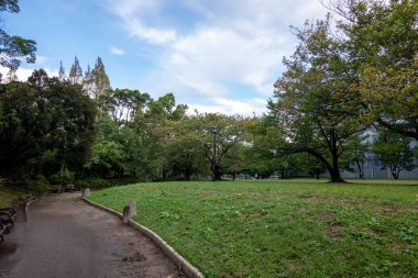 Tokyo sonbahar yaprakları peyzaj