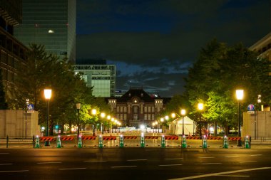 Tokyo sonbahar yaprakları peyzaj