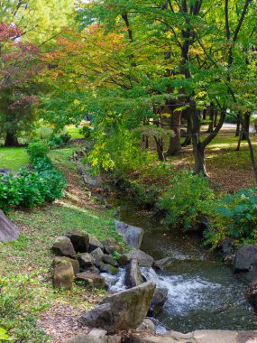 Tokyo sonbahar yaprakları peyzaj