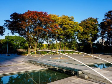 Tokyo sonbahar yaprakları peyzaj