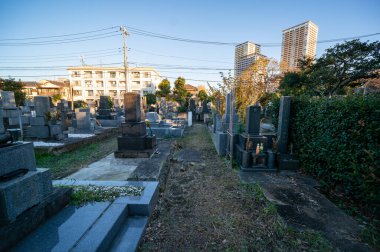 Tokyo sonbahar yaprakları peyzaj