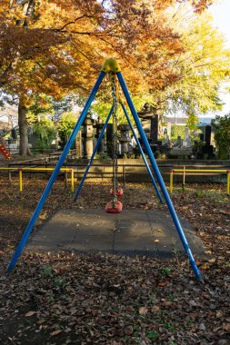 Tokyo sonbahar yaprakları peyzaj