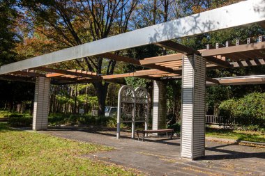 Tokyo sonbahar yaprakları peyzaj