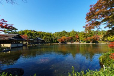 Tokyo sonbahar yaprakları peyzaj
