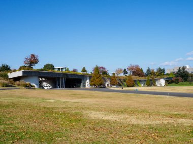 Tokyo sonbahar yaprakları peyzaj