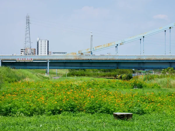 Tóquio Arakawa Leito Rio Paisagem — Fotografia de Stock