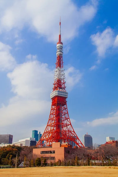 Japonya Tokyo Kulesi Manzara — Stok fotoğraf
