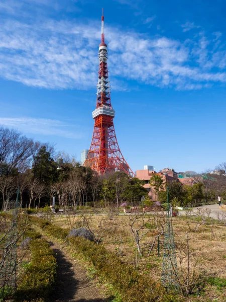 Tokyo Tower Japan Landscape — Stock Photo, Image