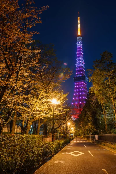Tour Tokyo Japon Vue Nuit — Photo