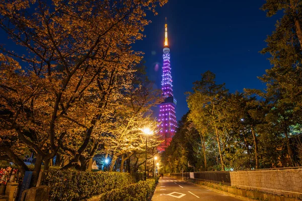 Tokyo Tower Japonia Widok Nocny — Zdjęcie stockowe