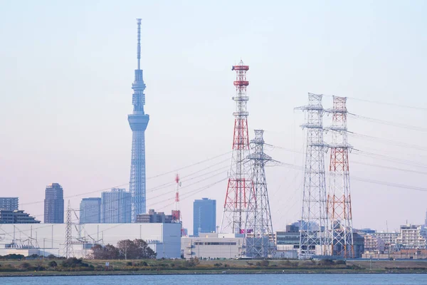 Tokyo Himmelsbaumlandschaft — Stockfoto