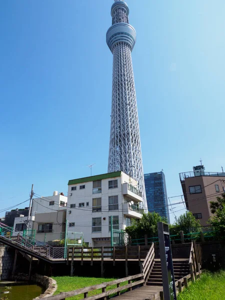 Tokyo Sky Ağaç Manzara — Stok fotoğraf