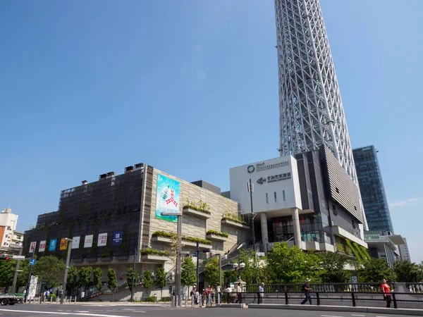 Tokio Cielo Árbol Paisaje — Foto de Stock