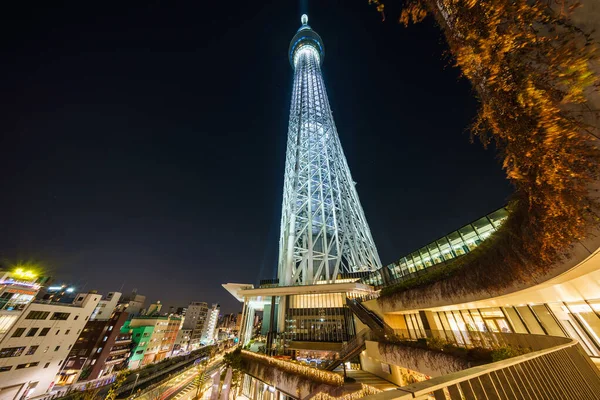 Tokio Sky Tree Night View — Zdjęcie stockowe