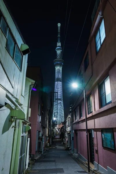 Tokyo Sky Tree Night View — стокове фото