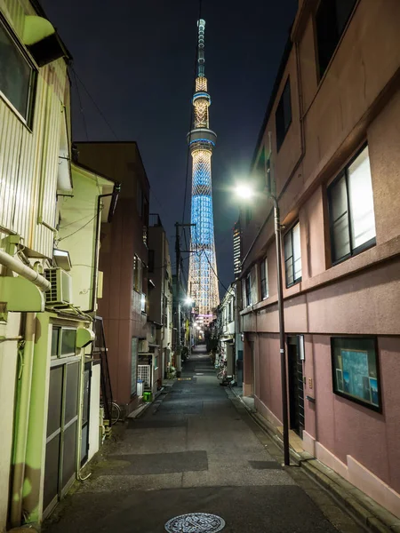 Tokyo Sky Tree Night View — стокове фото