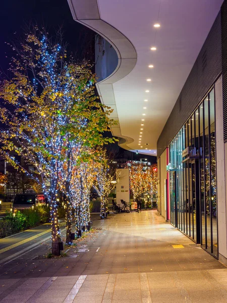 Japonya 'da Tokyo solamachi aydınlatması