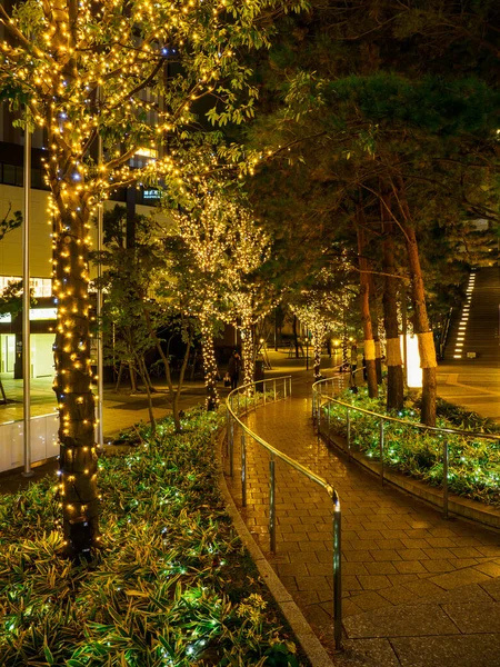 Japonya 'da Tokyo solamachi aydınlatması