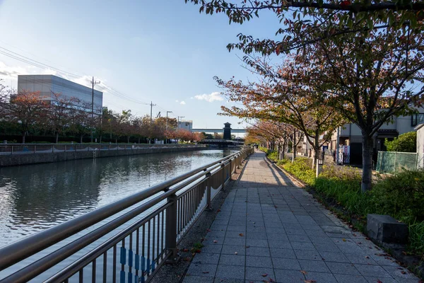 Tokyo Höst Lämnar Landskap — Stockfoto