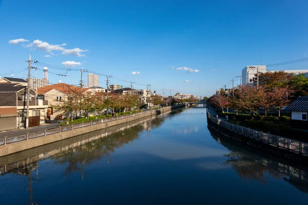 Tokyo Höst Lämnar Landskap — Stockfoto