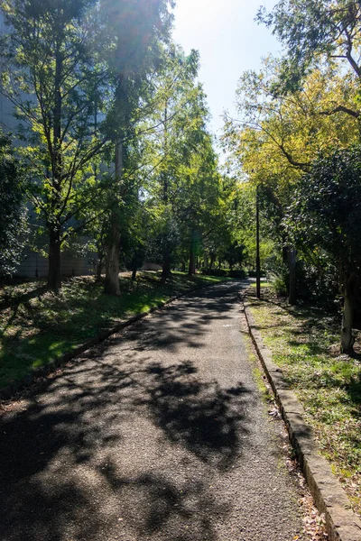 東京秋の紅葉風景 — ストック写真