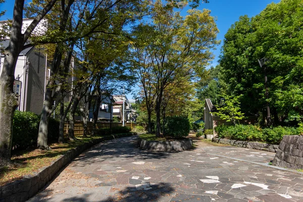 Tokio Herfst Bladeren Landschap — Stockfoto