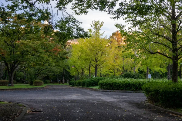 Tokios Herbst Hinterlässt Landschaft — Stockfoto