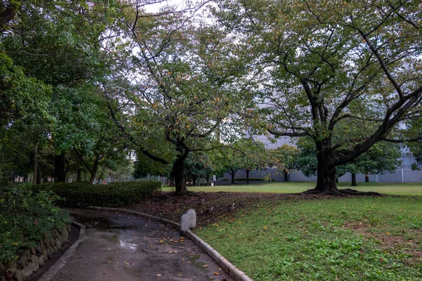 Tokyo Feuilles Automne Paysage — Photo