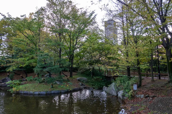 Tokyo Sonbahar Yaprakları Peyzaj — Stok fotoğraf