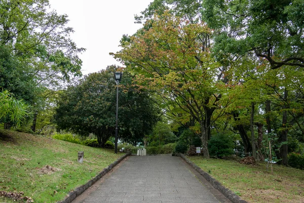 Tokyo Autumn Leaves Landscape — Stock Photo, Image