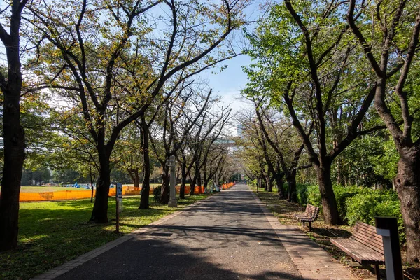 Tokyo Autunno Lascia Paesaggio — Foto Stock