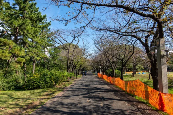 Tokyo Autumn Leaves Landscape — Stock Photo, Image