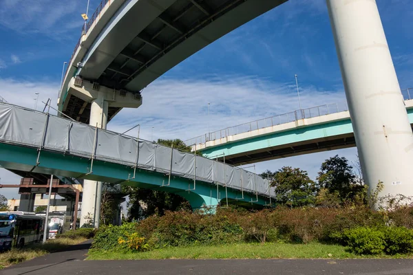 Tokyo Sonbahar Yaprakları Peyzaj — Stok fotoğraf