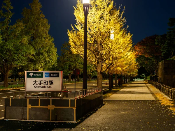 Tokiói Őszi Levelek Tájkép — Stock Fotó