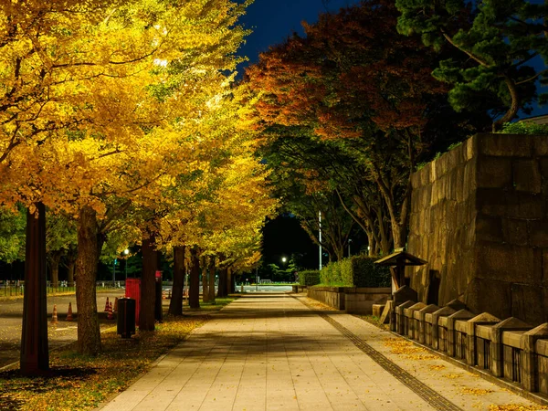 Tokio Jesienne Liście Krajobraz — Zdjęcie stockowe