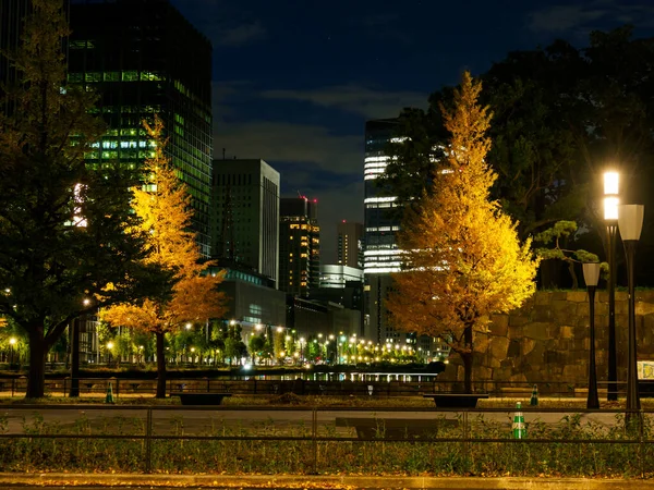 Tokyo Φθινόπωρο Φύλλα Τοπίο — Φωτογραφία Αρχείου