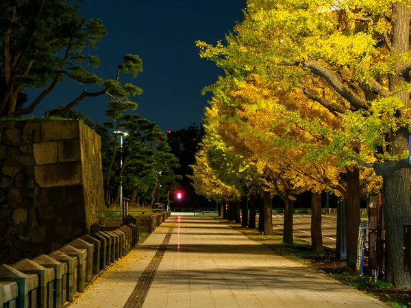 Tóquio Folhas Outono Paisagem — Fotografia de Stock