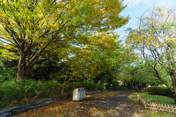 Tokyo Autumn Leaves Landscape — Stock Photo, Image