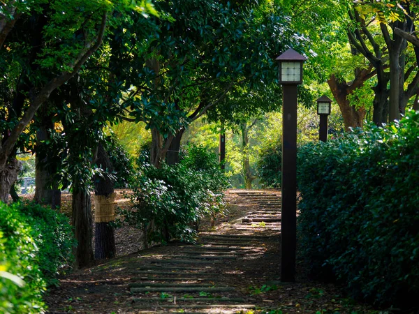 Tokyo Autumn Leaves Landscape — Stock Photo, Image